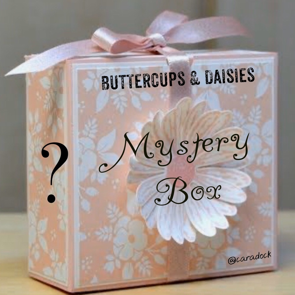 Resellers or Not 3 Boutique Tops Mystery Box